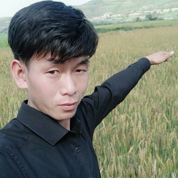 青海主播贺俊清 9999