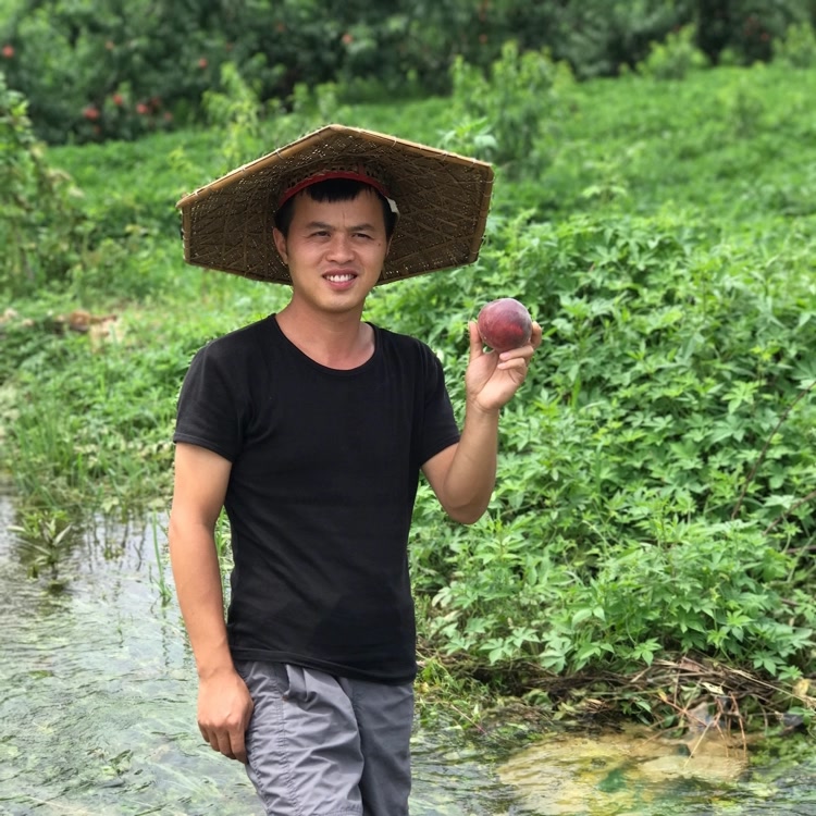 水果大叔-专业做榴莲