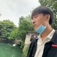 审美飞（小solo）