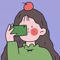 饭团日记
