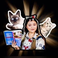 猫奴十三（有问题私信我）