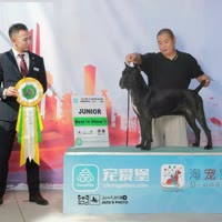 济南爱犬人卡斯罗🐶