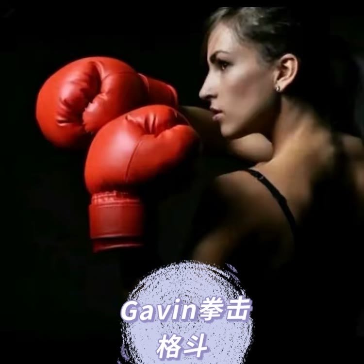 Gavie拳击格斗