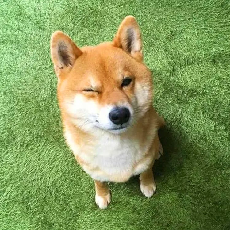 十四毅