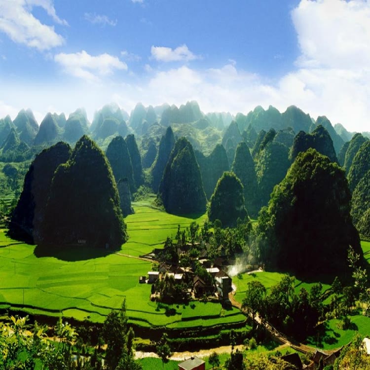 欧本联盛专卖店