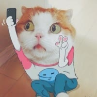 画久久99
