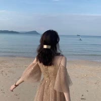 美丽的饭