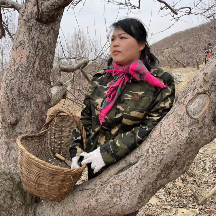 🐰东北二丫