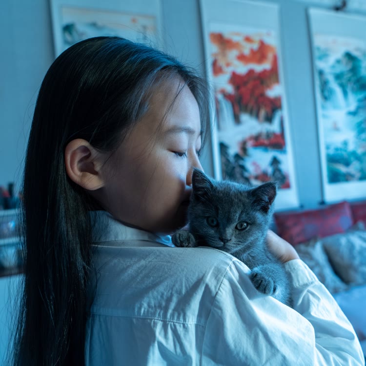 小谷数学课