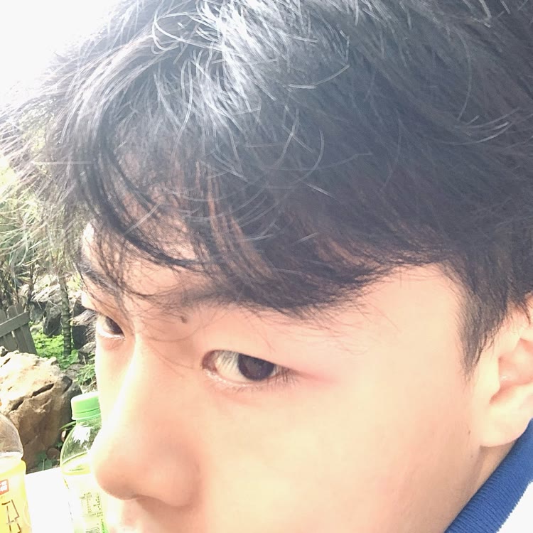 板川崎田的朋友圈