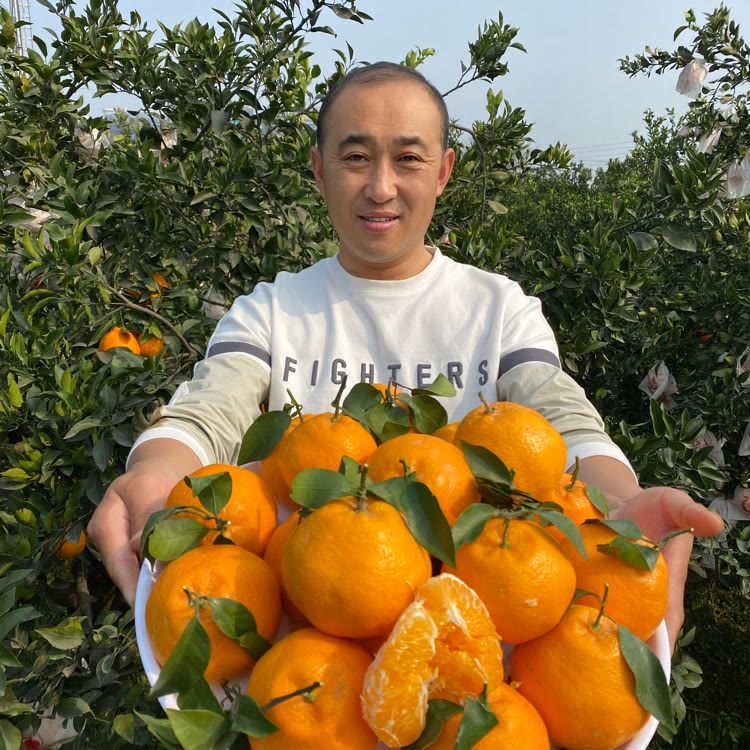 农场主超哥（农产品）