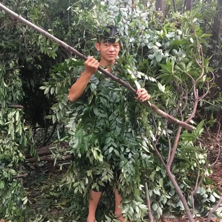 啊杨：户外
