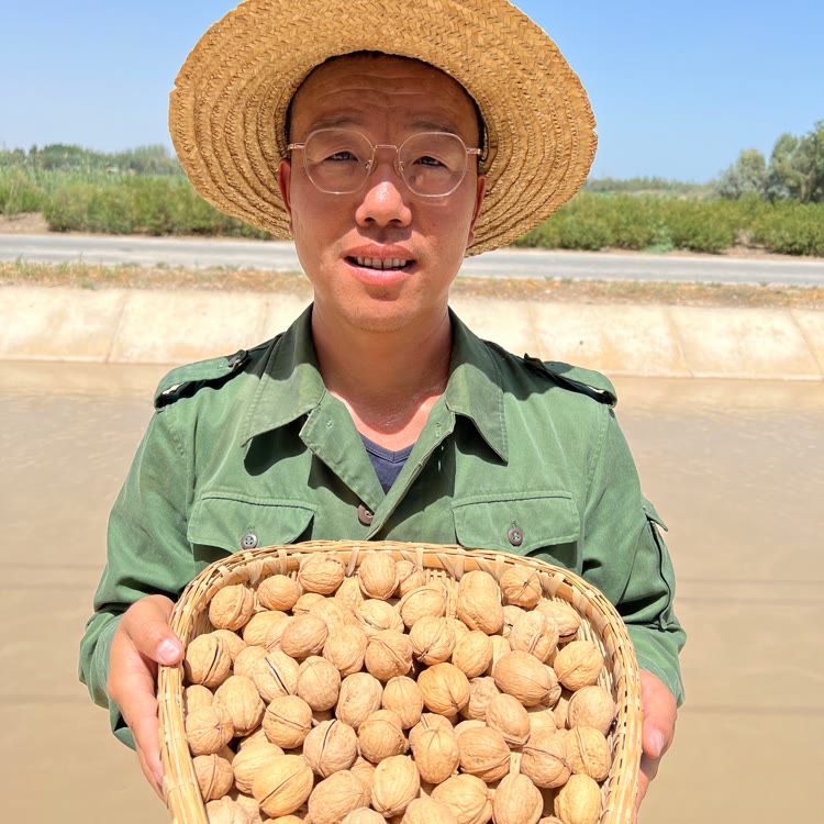 戈壁鼠新疆特产