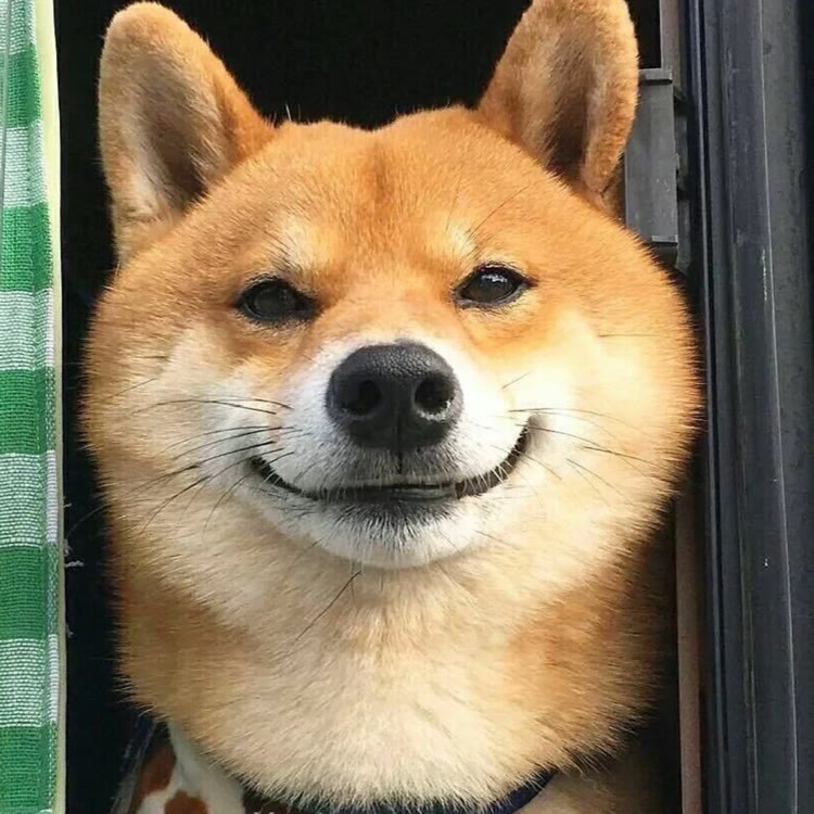 图图就是这个