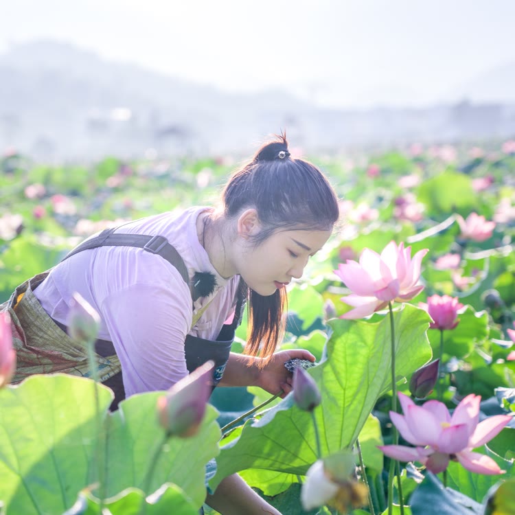虔城小花