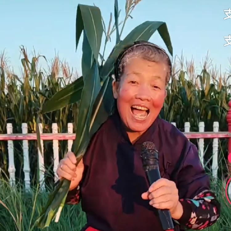 阳光疯婆婆