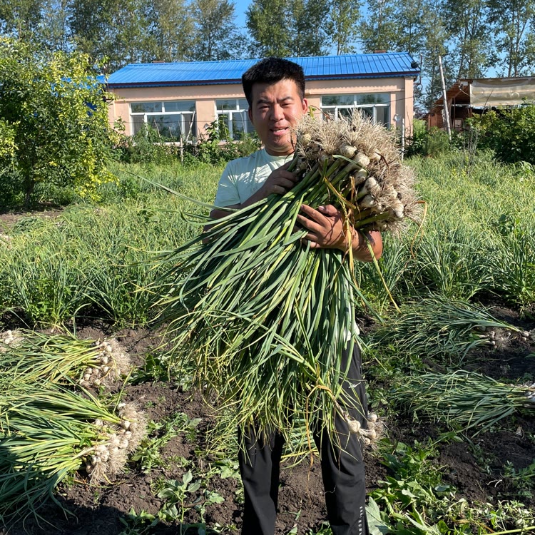 娘家人亮亮（健康农场）