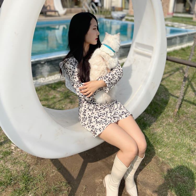 五月妈和院儿里的小流浪们