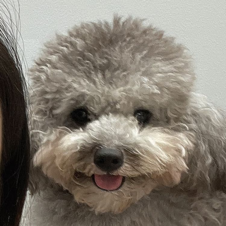 本华是个反骨仔