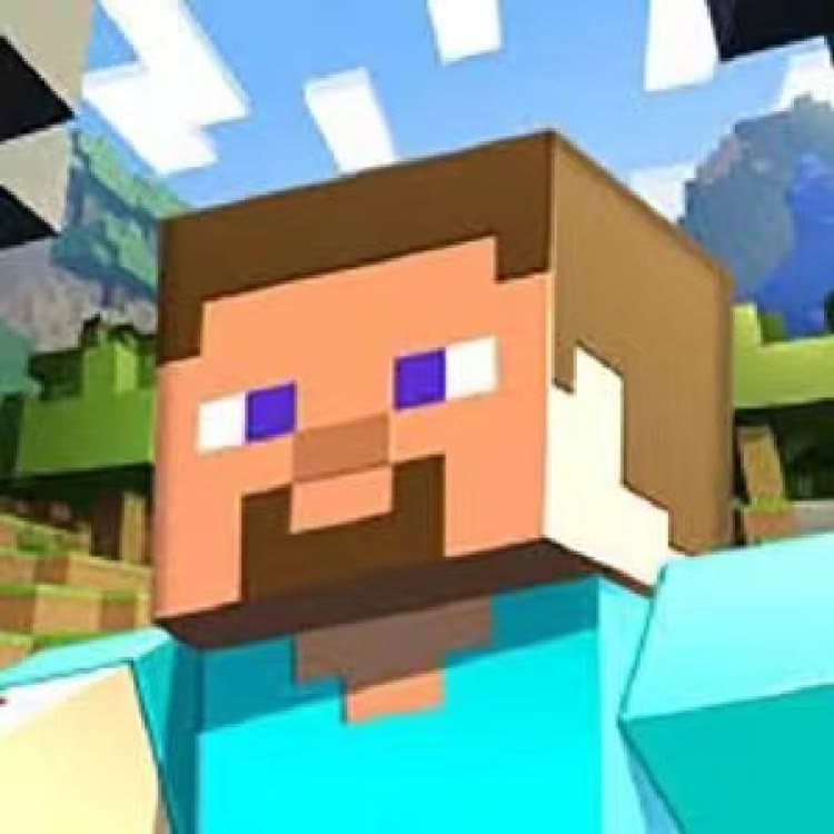 我的世界Minecraft