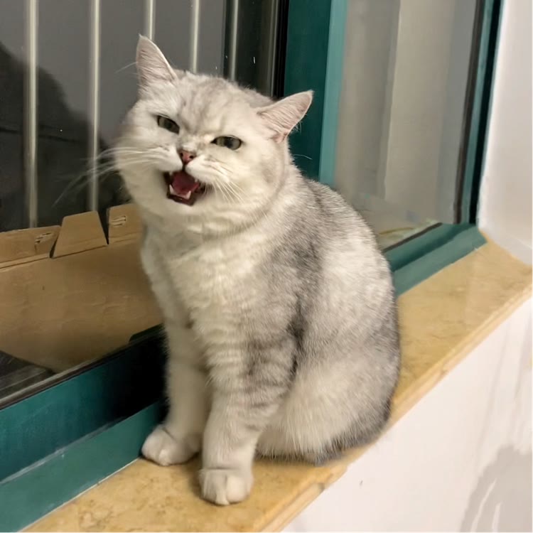 多多宝