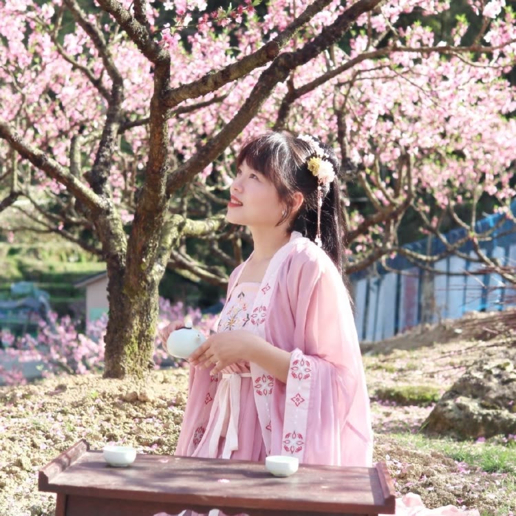 旅行推荐官小樱