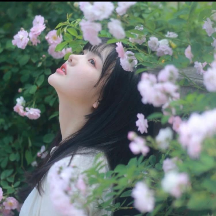 夏弃疾（下乡版）
