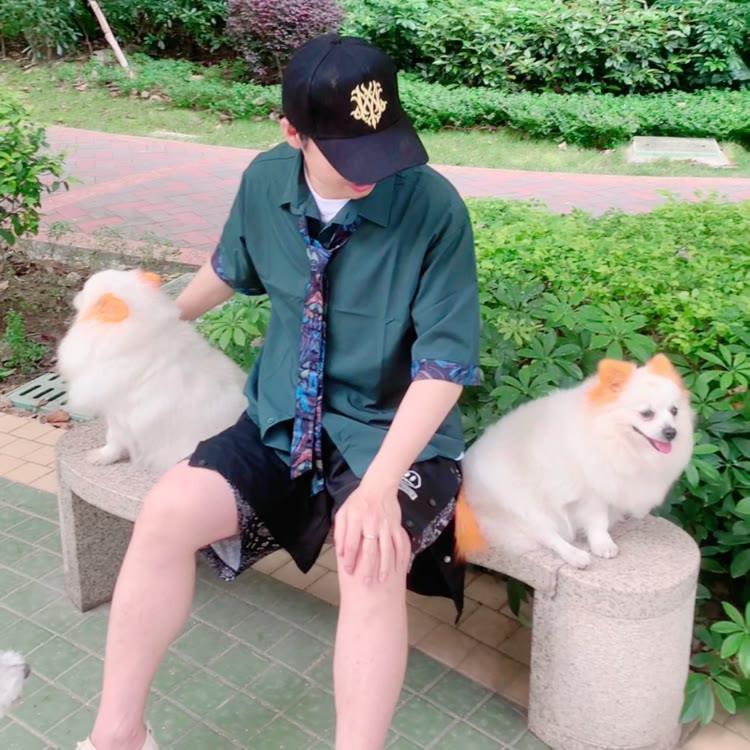 老何说狗