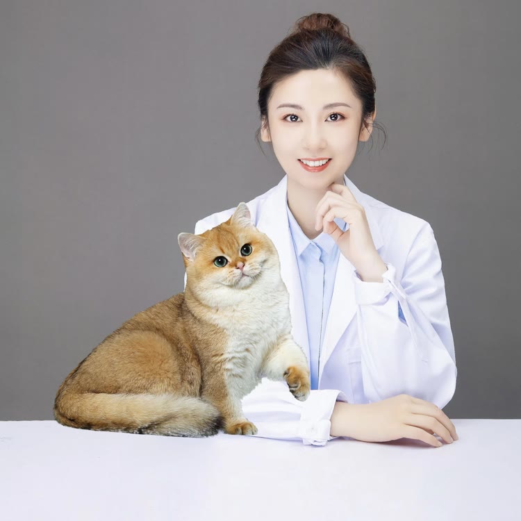 高翠兰的喵~饲养问题私信