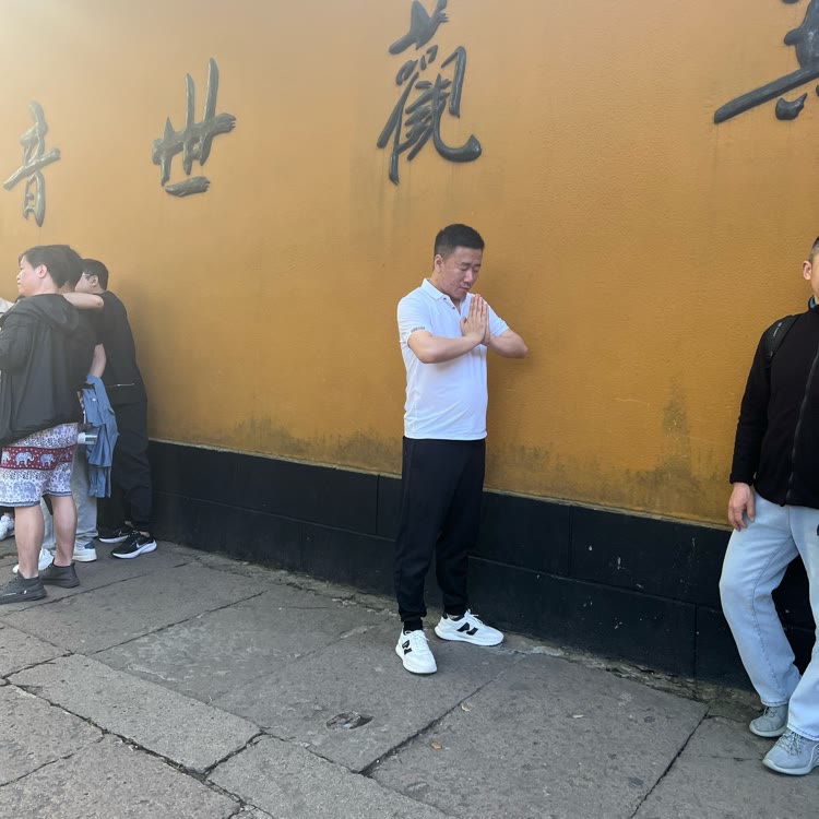 杨帆起航的鹏