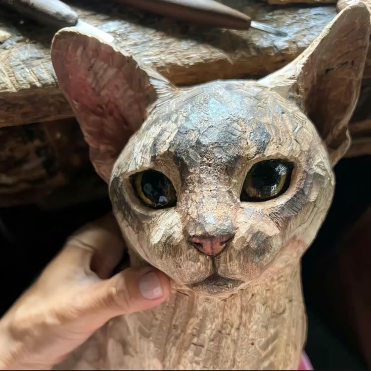 树下有木