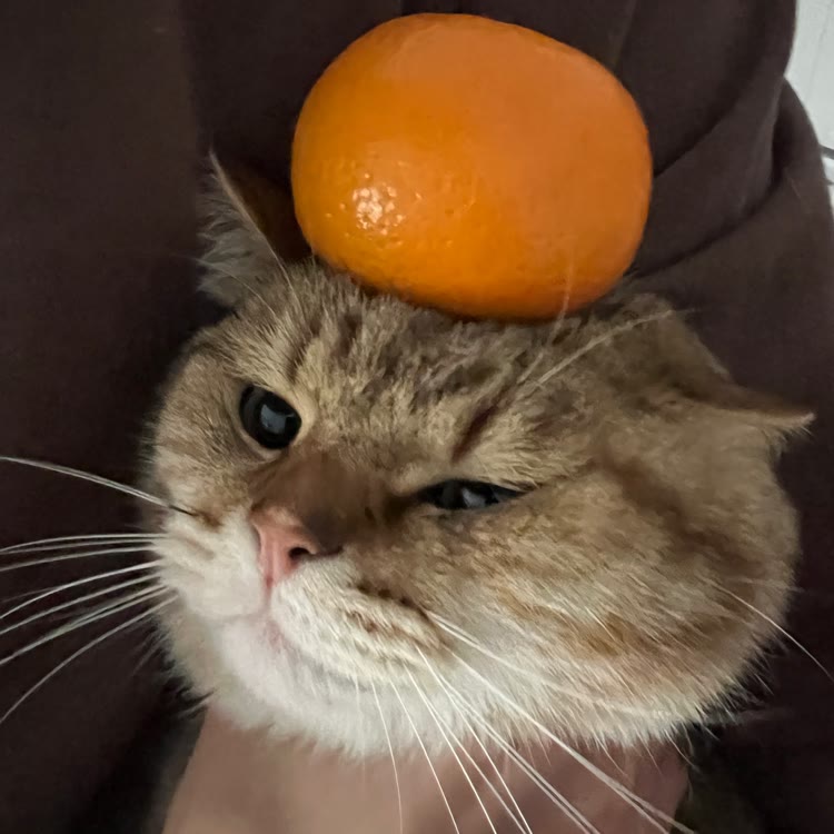 阿多