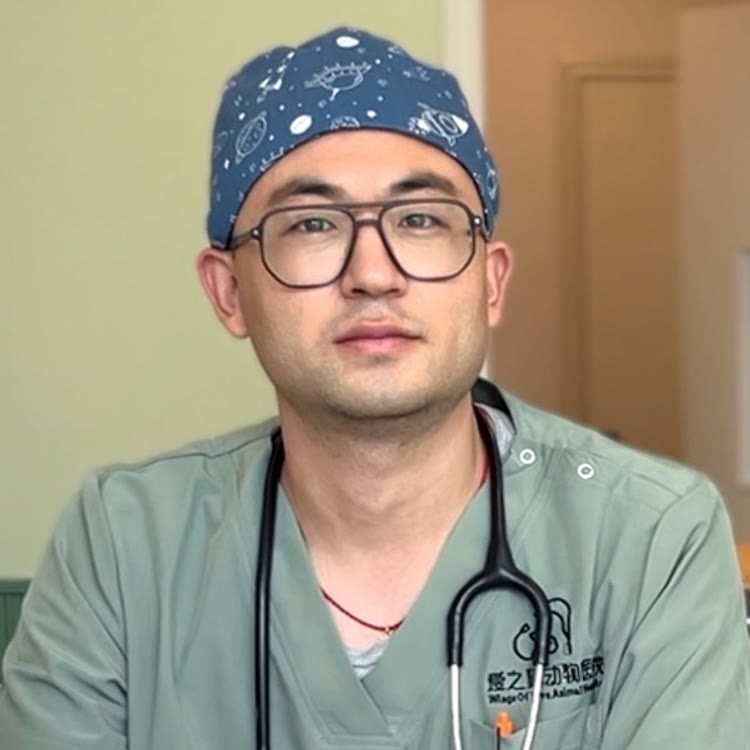 治怪兽的波医生