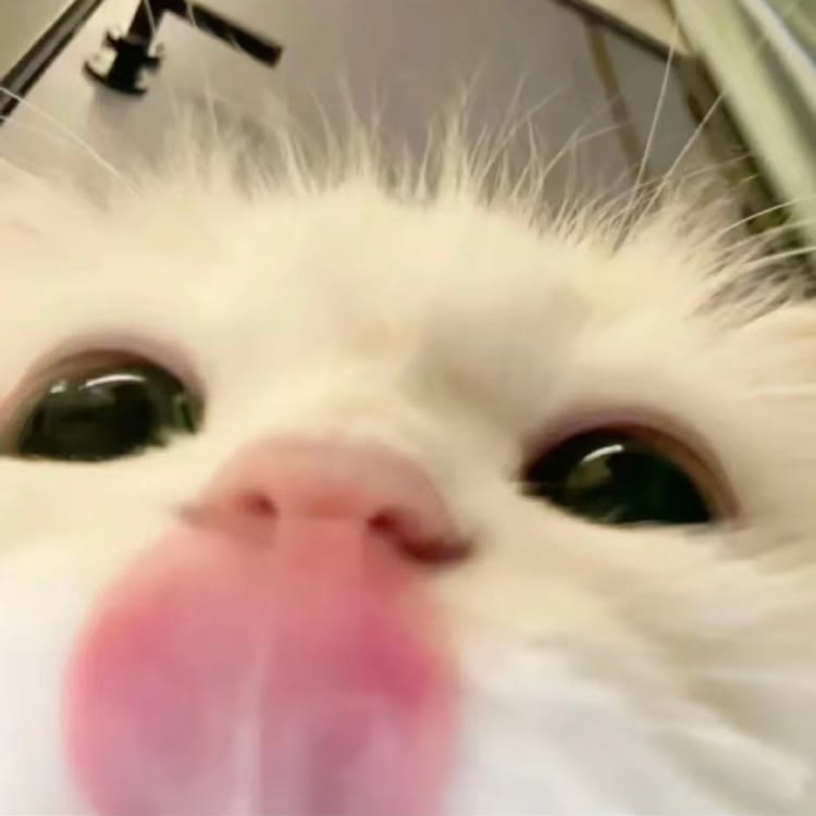 美味海霸糊