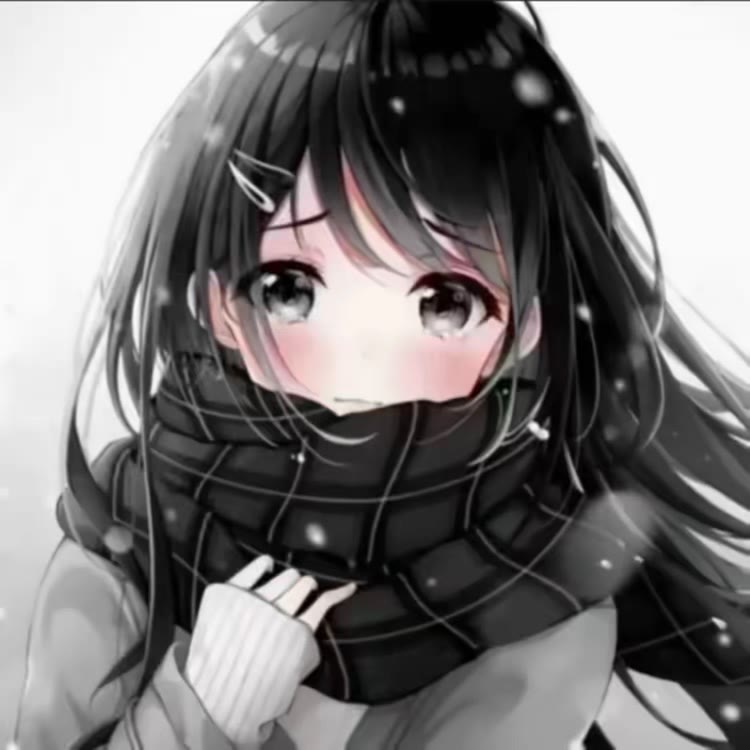 小迪宝