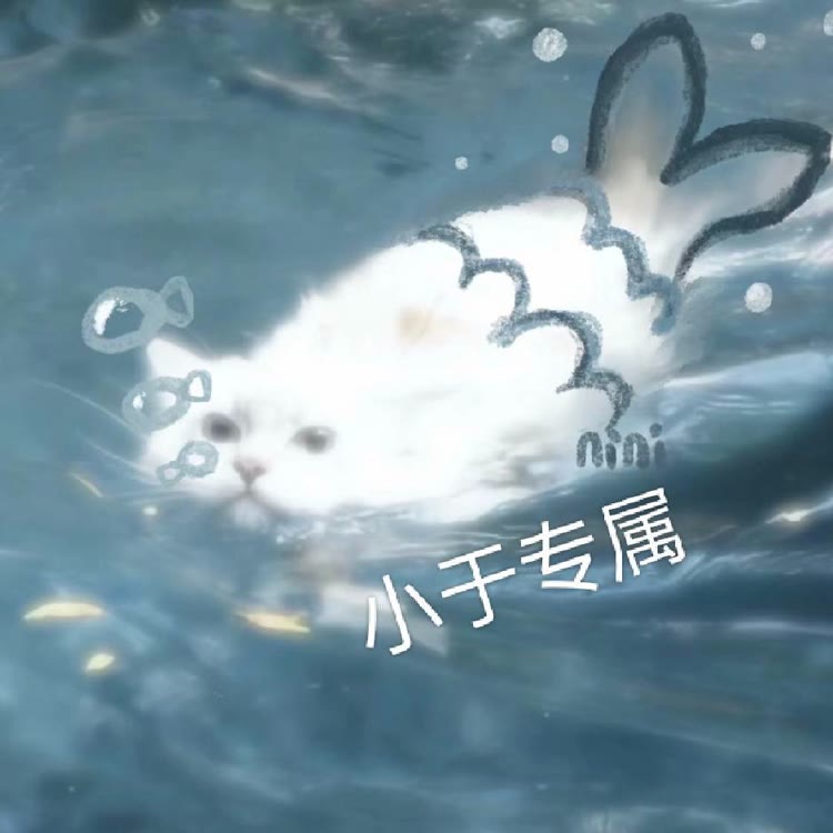 白日梦想家4044