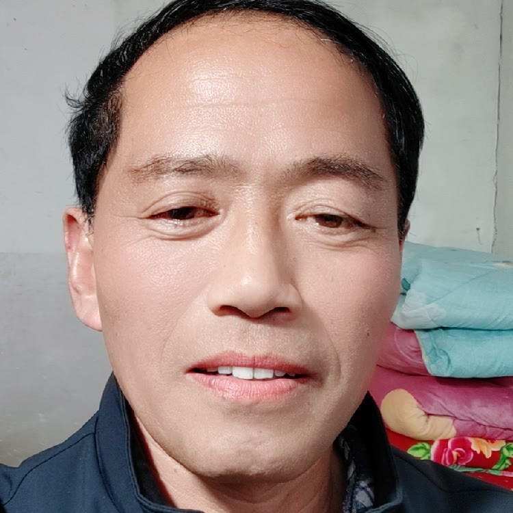 树干尊师树根