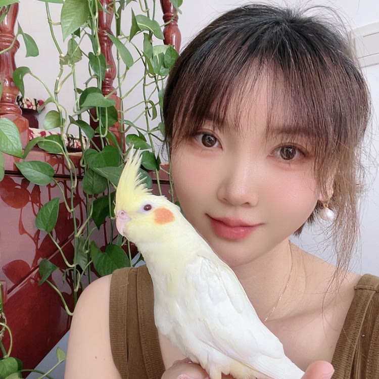 米果的宠物爱唱歌
