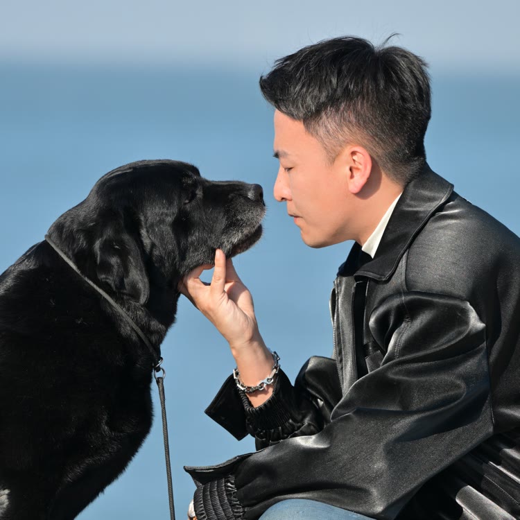 金圣拉布拉多Kennel