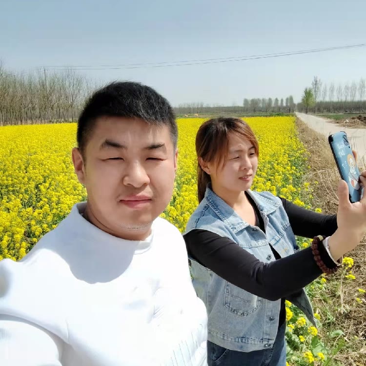 二手代步车邢台车王+文文