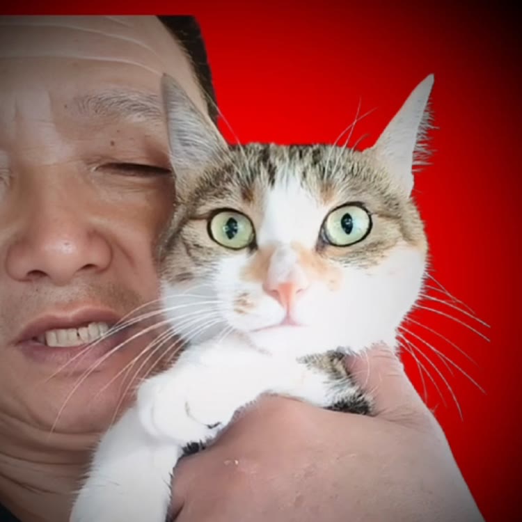 ༺  卡车猫王