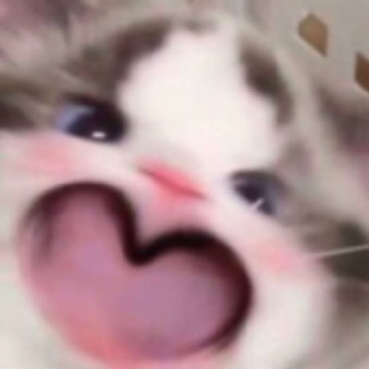 小小熊