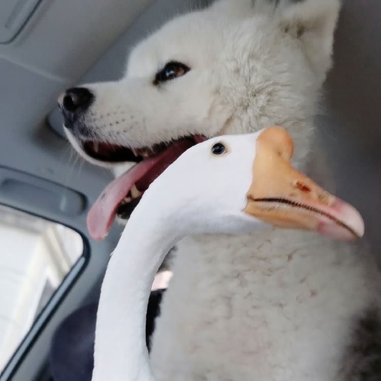 漠公主