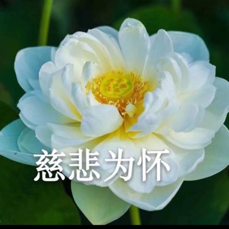 财源 滚滚