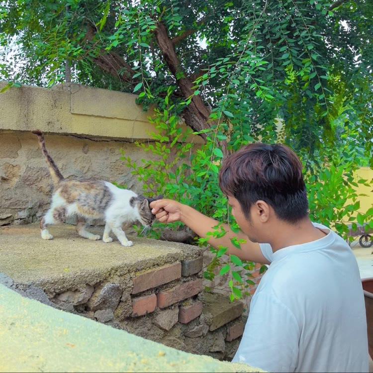 曲洋的不苦小院