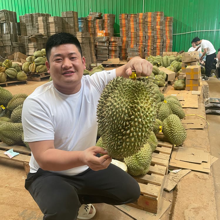 二黑新农人榴莲搬运工