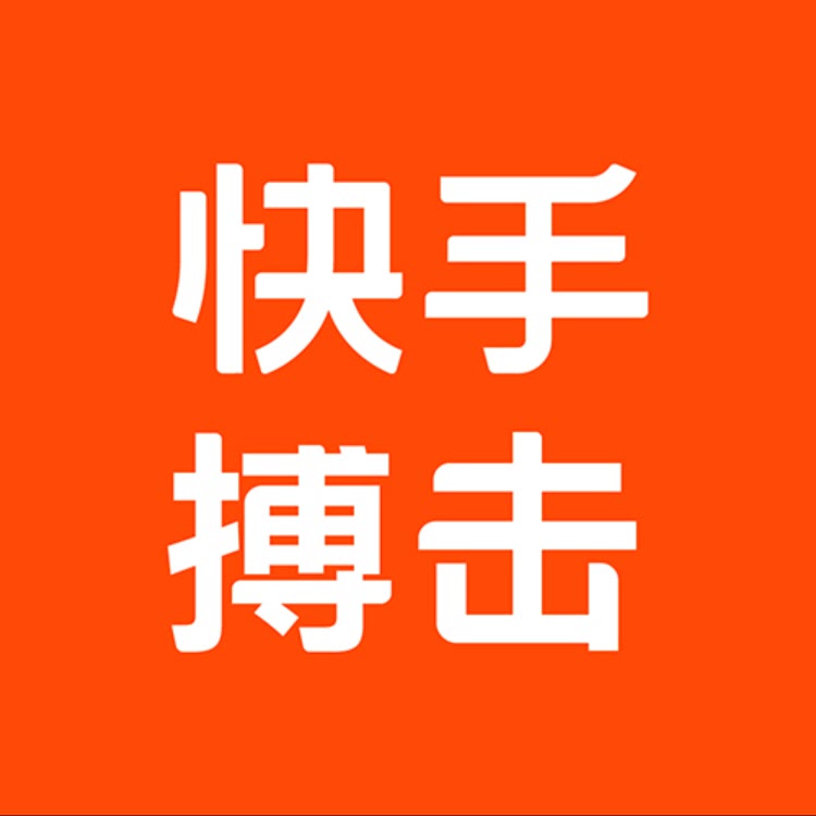 快手武术搏击