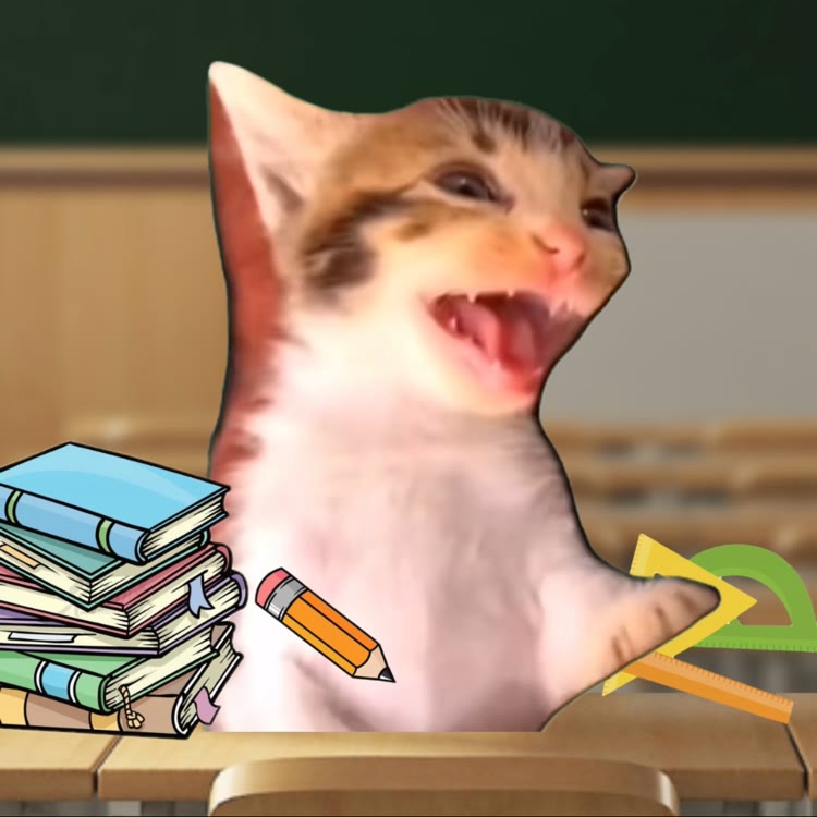 小猫娃娃丢