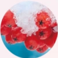 小胖努力中