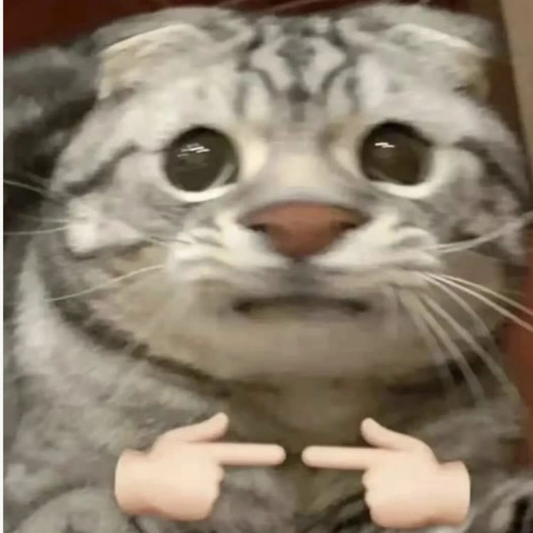 土豆.